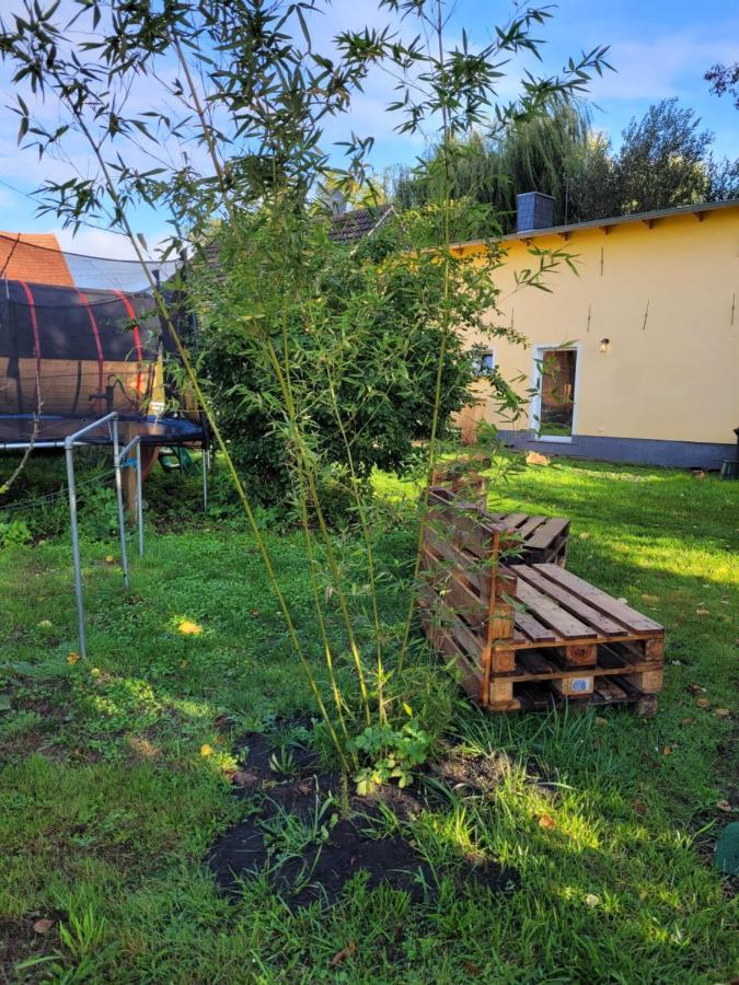 Haus Evelynchen Apartment 1 Deutschhof Fehrbellin Luaran gambar